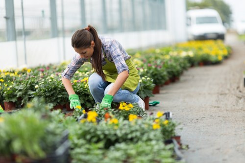 Illustration representing essential cookies for Gardeners Neasden