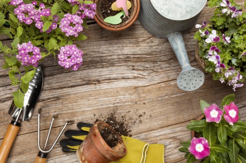 Professional lawn mowing in Neasden for a neat residential garden