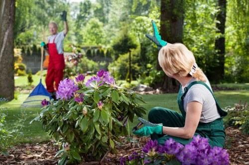 Landscaping and garden improvement work in Neasden