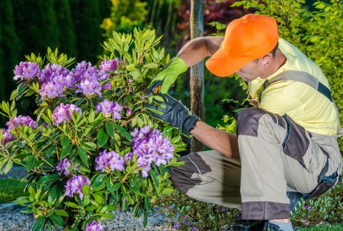 Commercial gardening services for a neat outdoor space in Neasden
