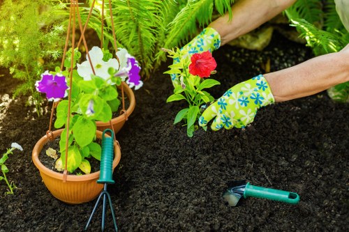 Removing green waste during garden clearance in Neasden