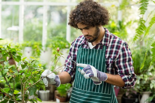 Gardener in Neasden providing a transparent quote for garden work