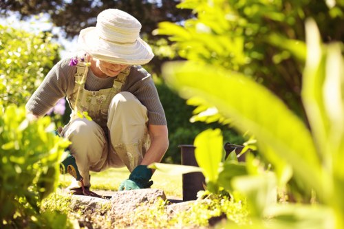 Routine hedge maintenance in Neasden for healthy greenery