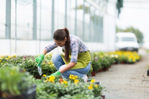 Waste disposal and liability clauses in service terms