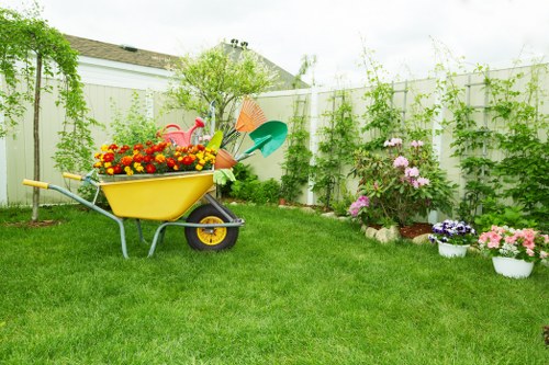 Seasonal lawn mowing in Neasden for well-kept outdoor spaces