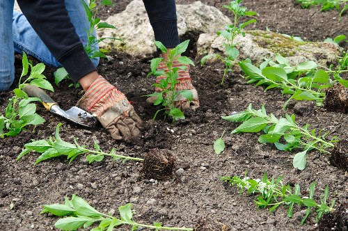 Neasden garden landscaping featuring modern planting and paving ideas