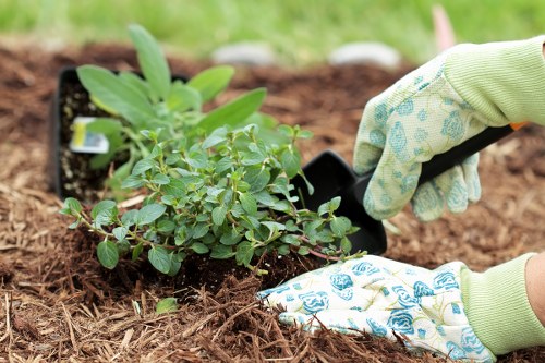 Garden waste volume estimate for a Neasden gardening quote