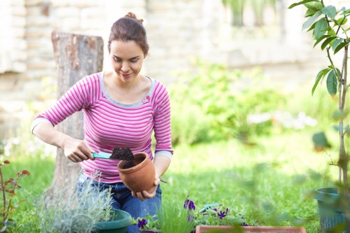 Professional landscape gardening in Neasden with lawn, borders, and hard landscaping