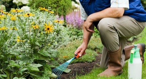 Keyboard navigable garden services page for Neasden