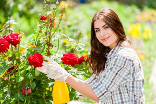 Regular lawn mowing service in Neasden with a clean grass finish