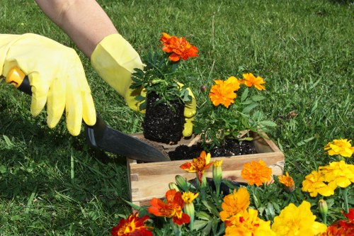 Seasonal garden maintenance in Neasden with healthy plants and lawn care