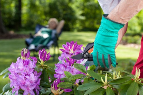 Low-carbon van used by gardeners in Neasden