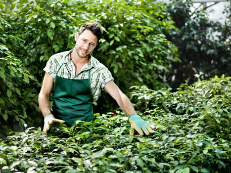Small garden landscaping ideas for Neasden homes