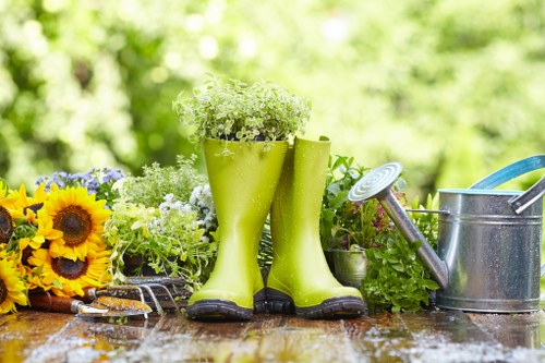 Neasden garden lawn care and mowing for healthy green grass