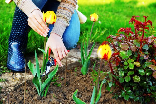Professional lawn maintenance in Neasden home exterior