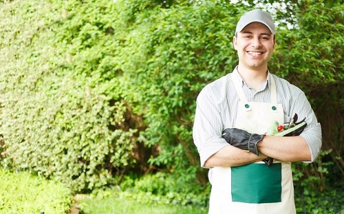 Regular garden maintenance in Neasden including pruning and border care