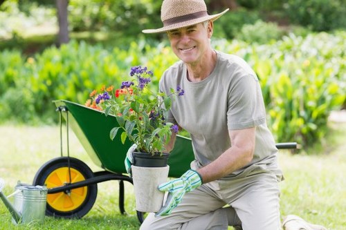 Weed and moss control for Neasden lawns