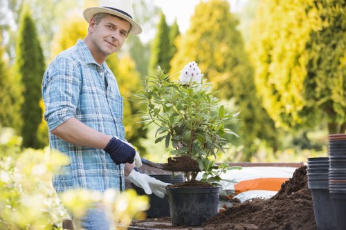 Local lawn mowing in Neasden improving garden appearance