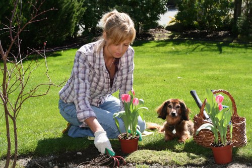 Gardening service issue being noted and assessed