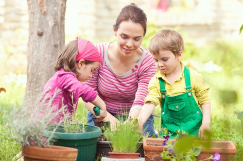 Seasonal lawn treatment in Neasden garden