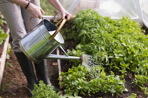Charity partnership helping reuse garden materials in Neasden