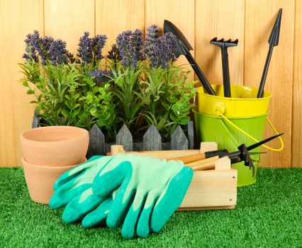 Professional garden maintenance in Neasden for neat outdoor spaces