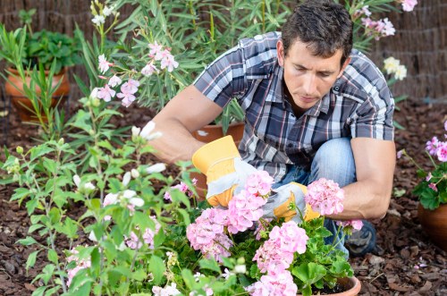 SSL-encrypted payment protection for gardening services