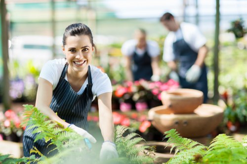 Professional garden care service in Neasden with healthy greenery