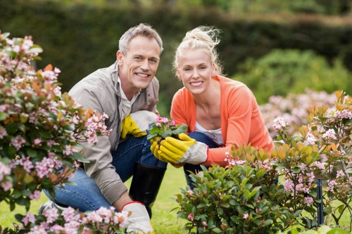 Patio cleaning service in Neasden improving outdoor surface appearance